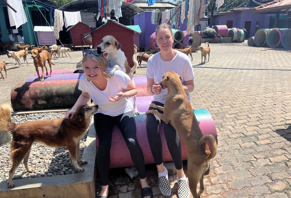 Ab Montag - Dein Projekt