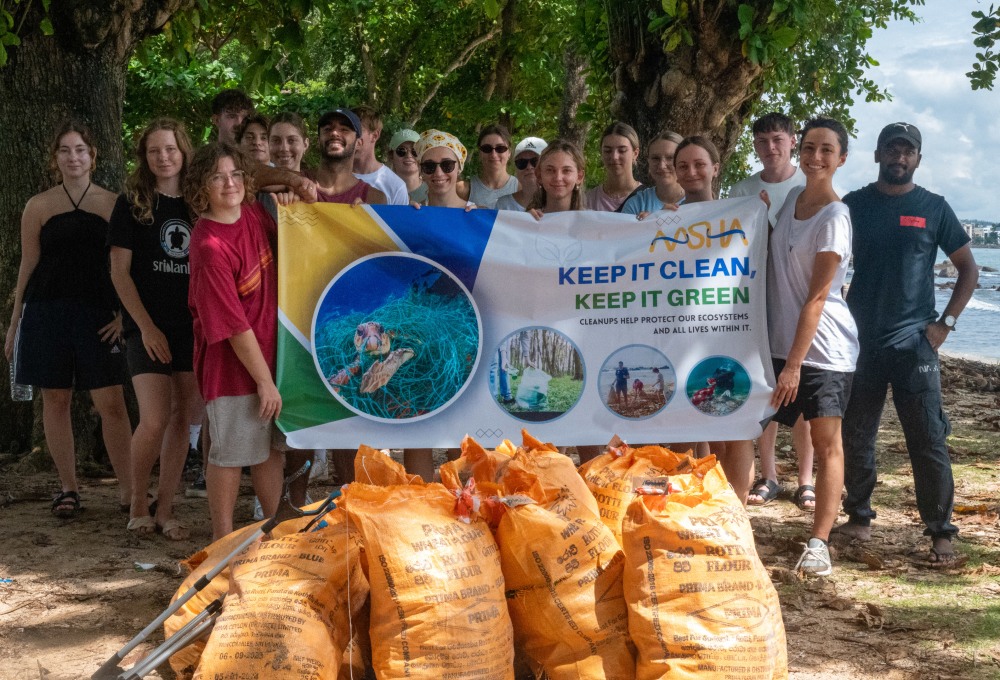 Woche 1: Dein Volunteering-Projekt