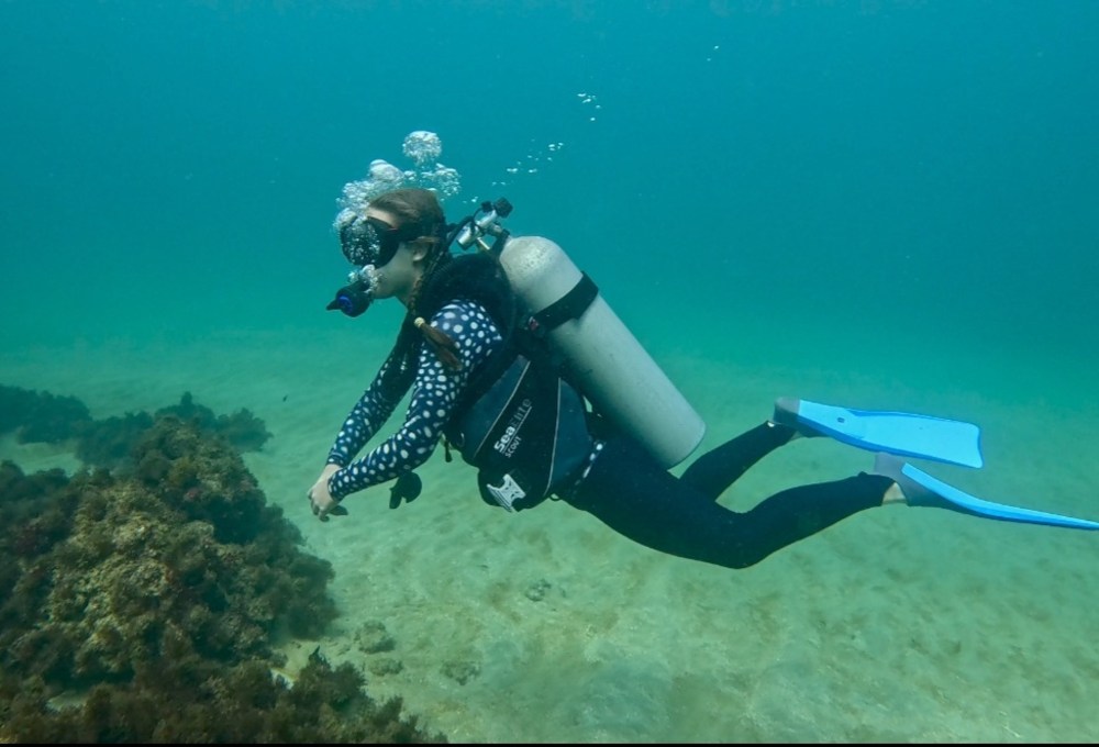 Tag 2/folgend – Dein Projekt