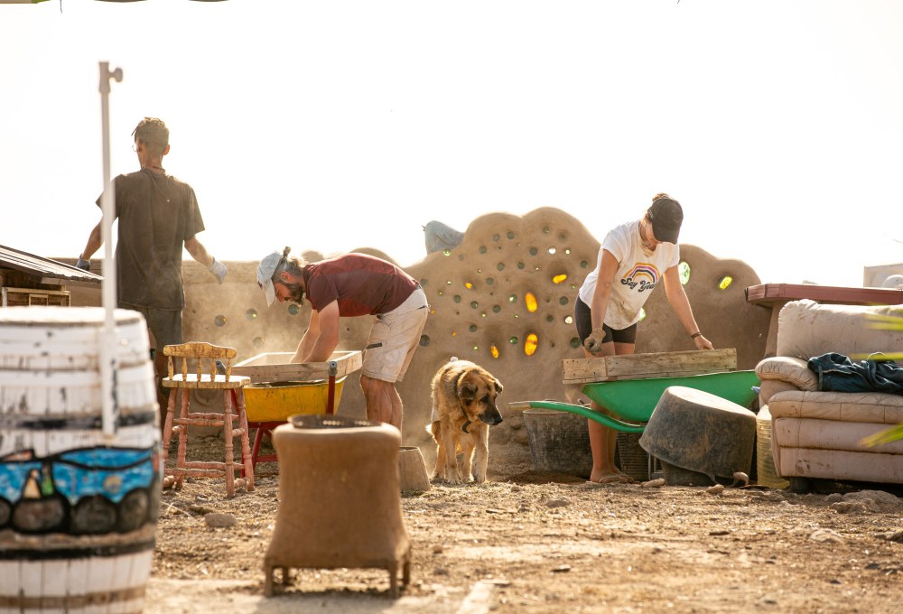 Ab Tag 2 - Dein Tierschutz-Projekt ab Dienstag