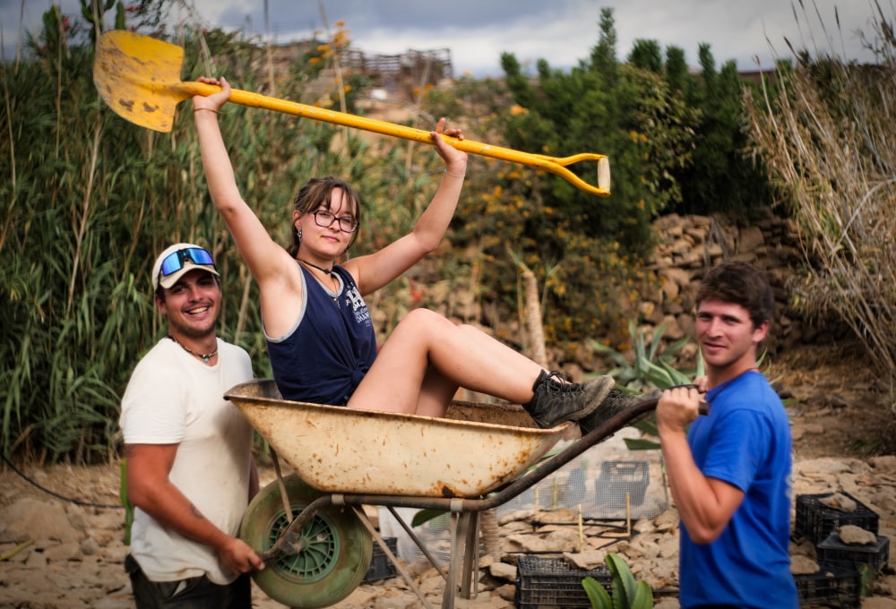 Ab Tag 2 - Dein Tierschutz-Projekt ab Dienstag
