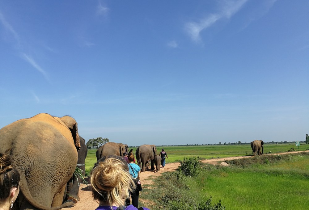 Woche 1/folgend - Dein Projekt