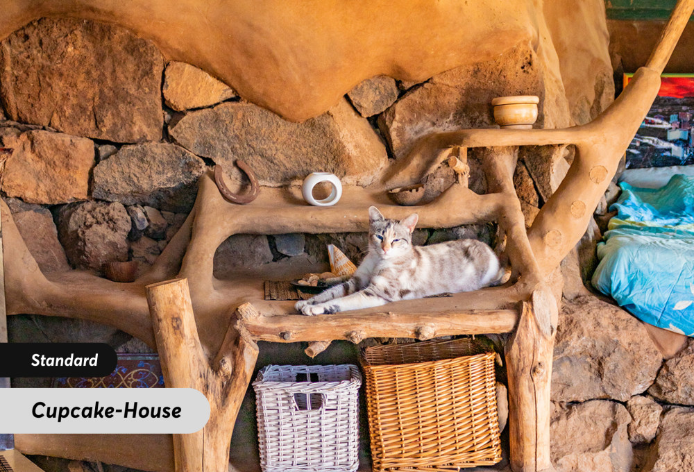 Nachhaltige Eco-Stays auf Teneriffa