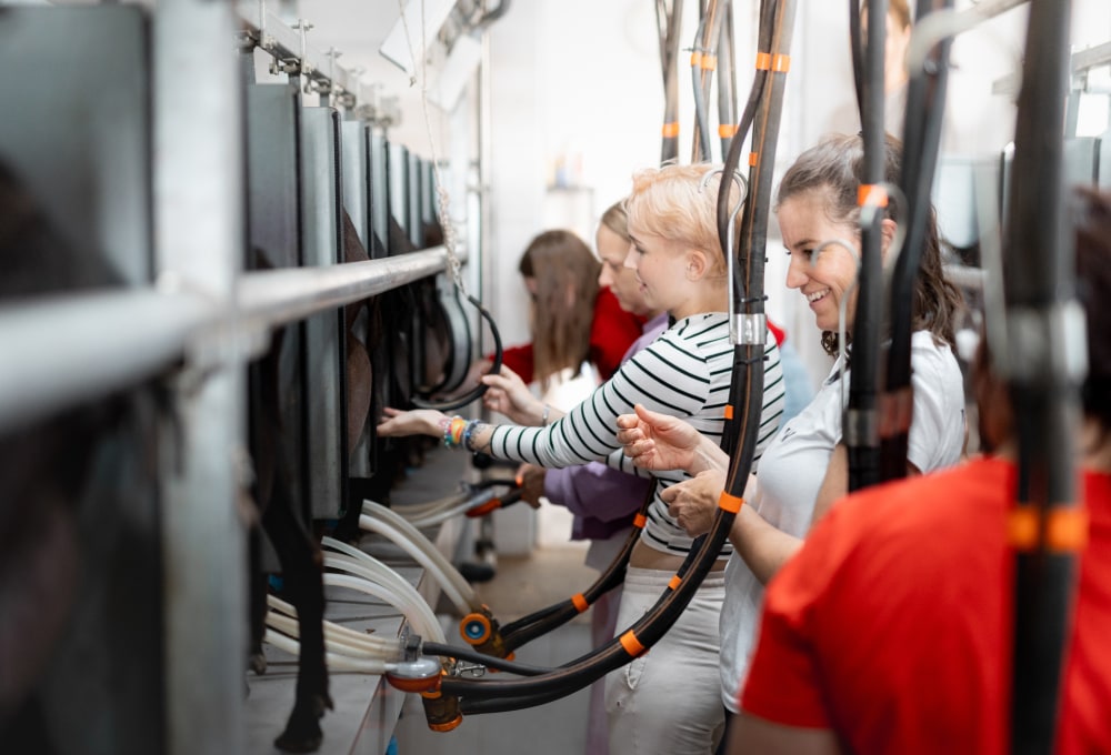 Tag 4: Thema Grenzen setzen & Goat Milking