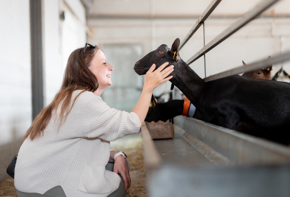Tag 4: Thema Grenzen setzen & Goat Milking