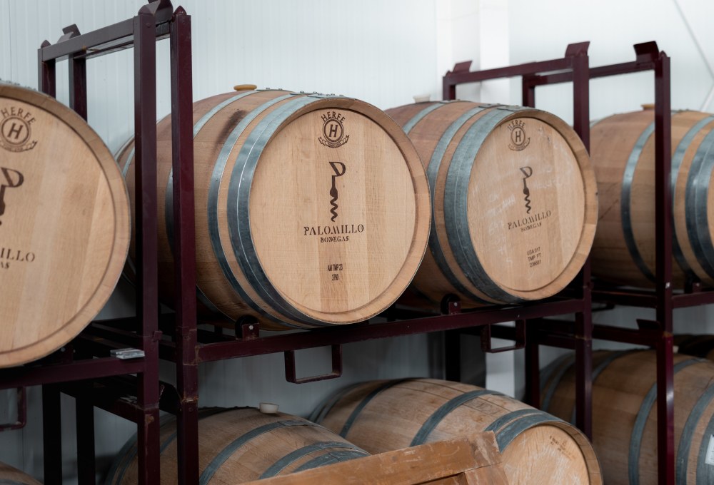 Tag 5: Kayak-Tour & Wein-Tasting