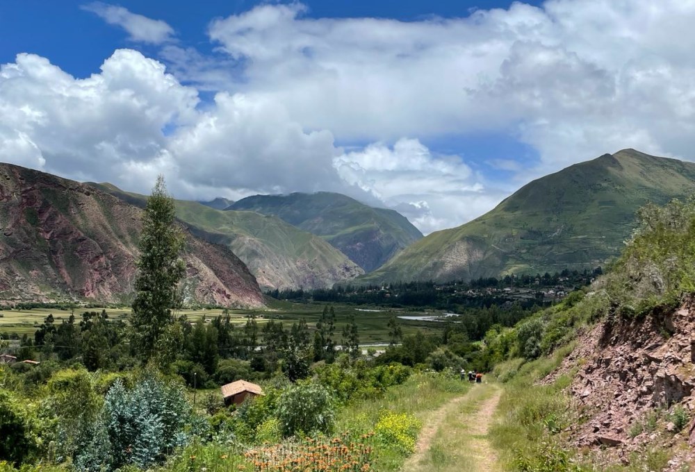 Beispiel für einen typischen Tag im Pferde Projekt