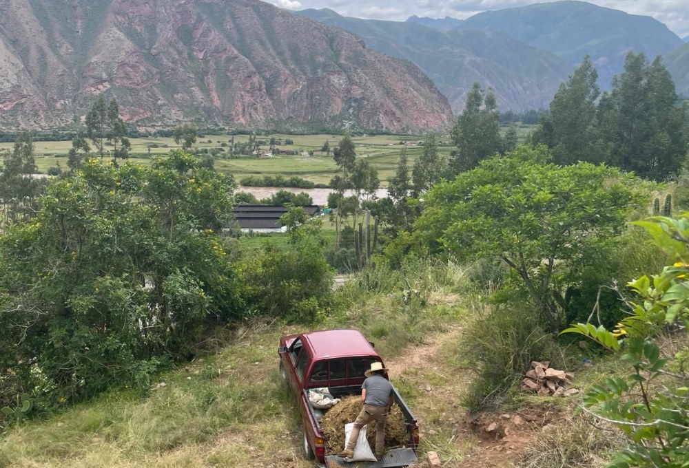 Beispiel für einen typischen Tag im Pferde Projekt