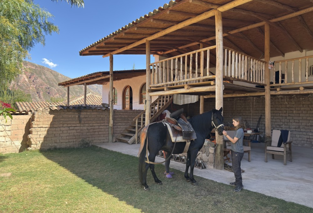 ab Woche 2 - Dein Projekt   