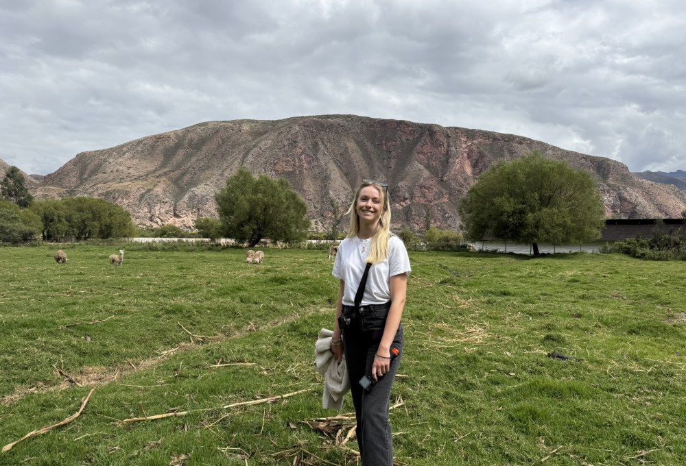 Beispiel für einen typischen Tag im Pferde Projekt
