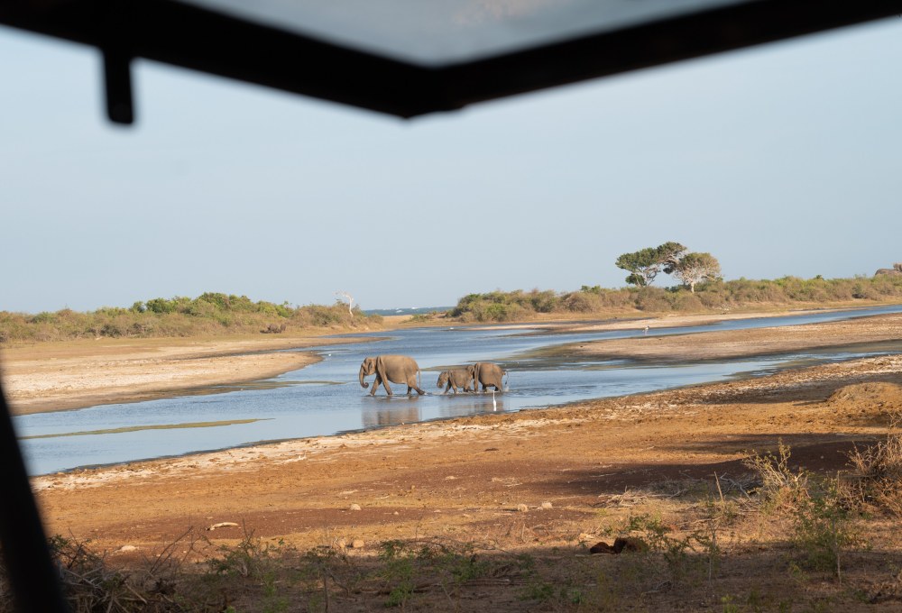 Tag 7: Yala Nationalpark