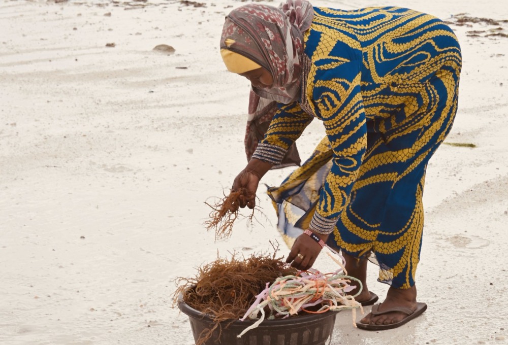 Women Empowerment auf Sansibar (Südostküste)
