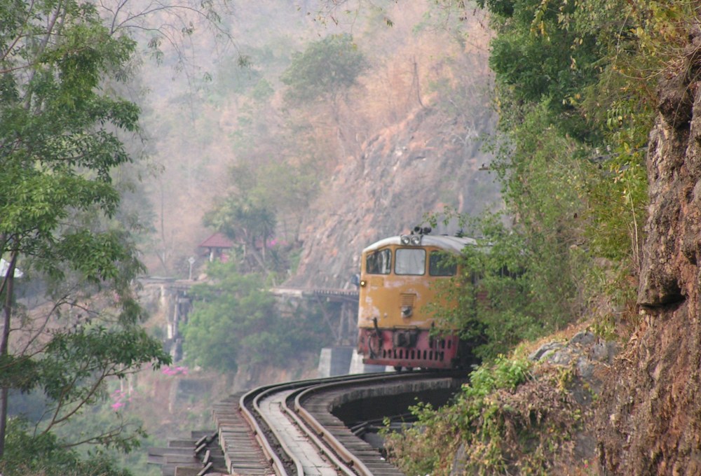 Tag 3: Nachtzug zum Dschungel