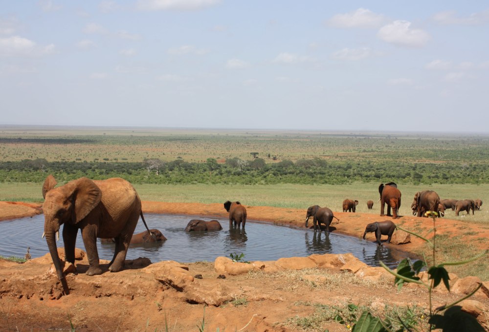 Tag 3: Surf City & Addo Nationalpark