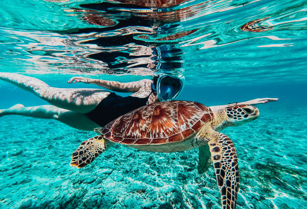 Tag 8: Bootstour & Schnorcheln 