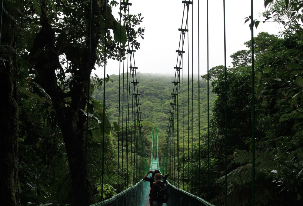 Tag 5: Nebelwald in Monteverde