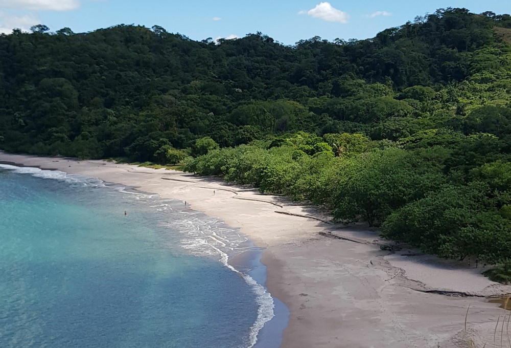 Meeresschildkröten-Projekt in Cahuita (Costa Rica)