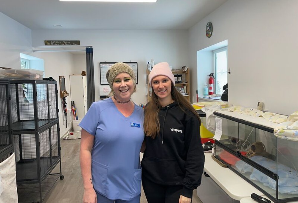 Ab Tag 3 - Dein Wildlife-Projekt