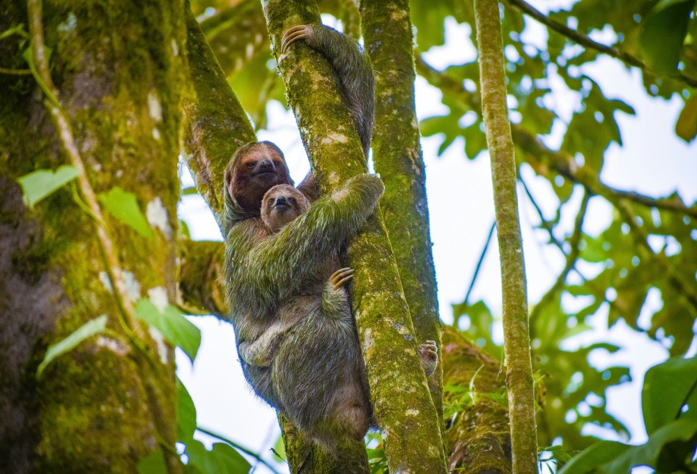 Tag 3: Wildlife Sanctuary + Kaffee & Kakao Tour