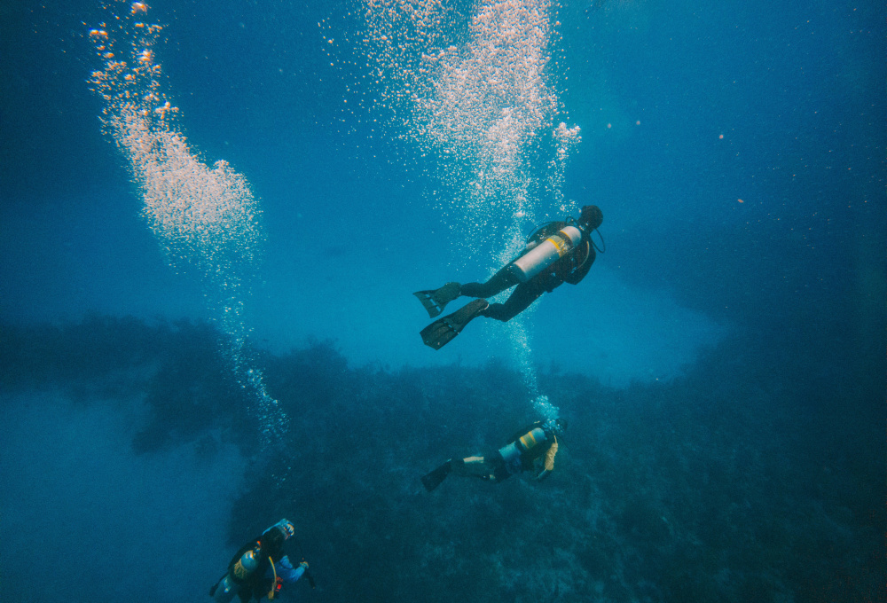 Dein Kurs - Anforderungen & Theorie