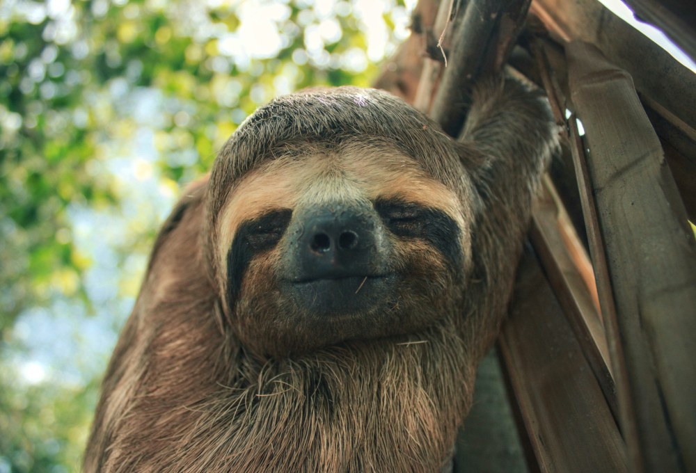 Pura Vida Journey Costa Rica