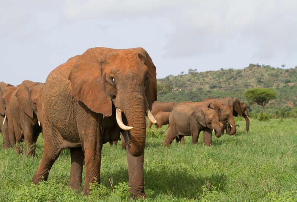 Tag 2: Tarangire Nationalpark