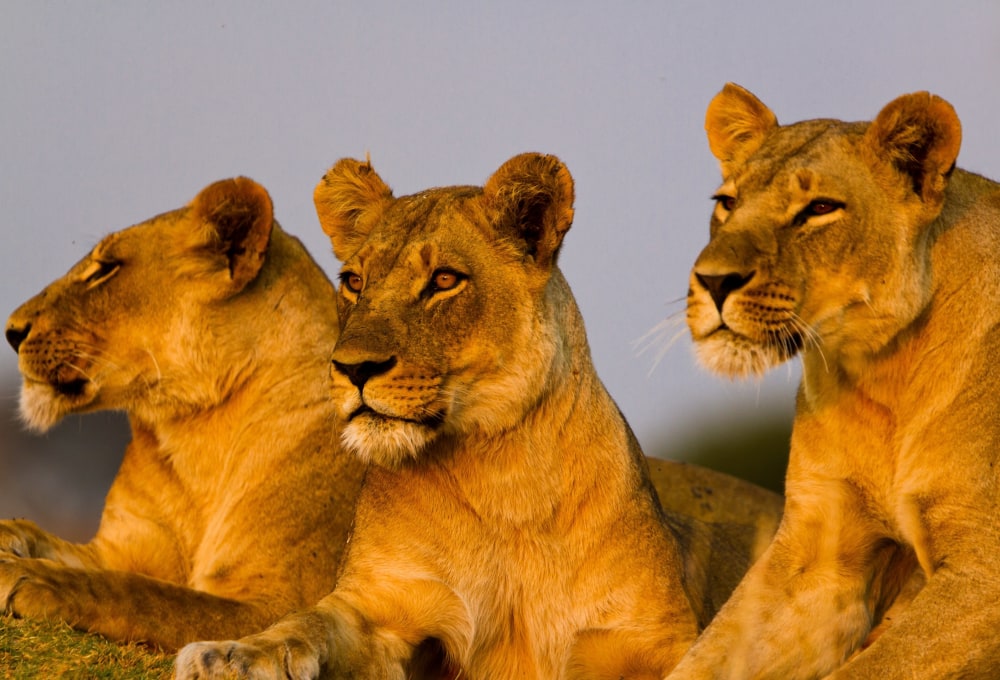 Tag 2: Tarangire Nationalpark