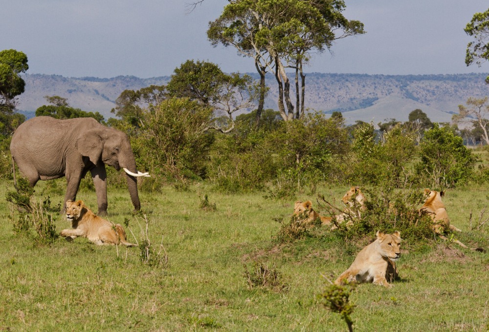 Tag 2: Tarangire Nationalpark