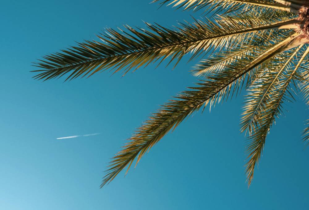 Flexpass - Easy bis 30 Tage vor Reisestart kostenlos umbuchen oder stornieren