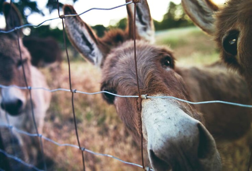 Natur- & Klimaschutz Eco Farming Griechenland