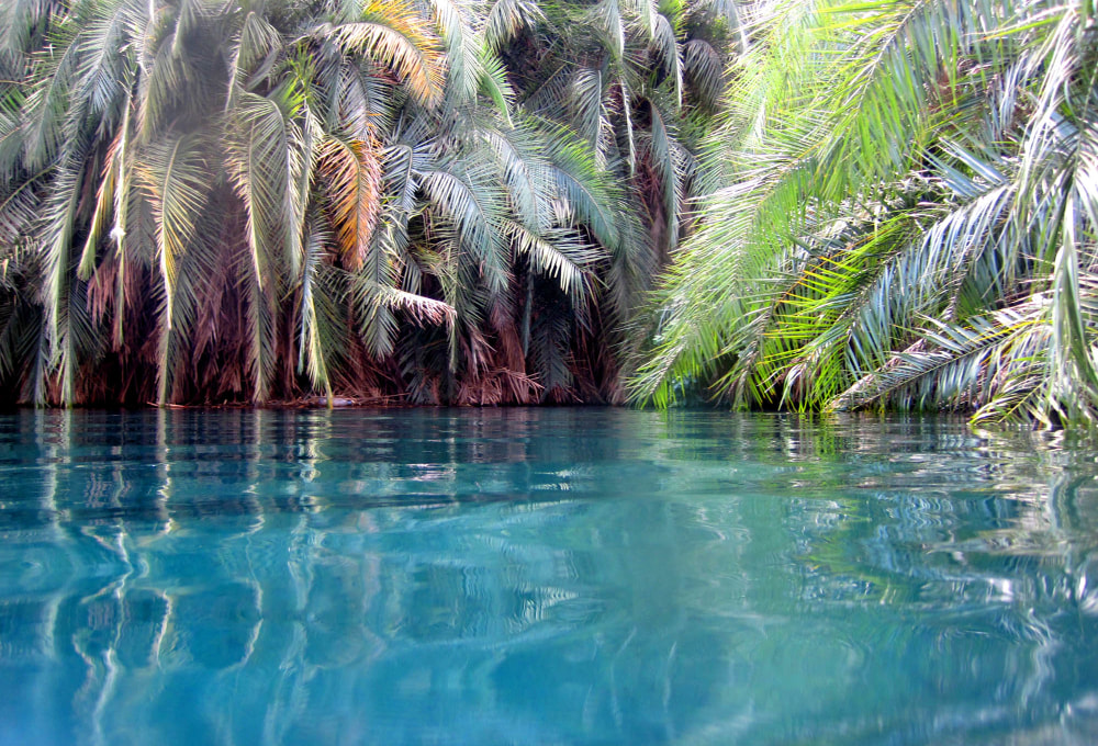 Tag 8: Freizeit & optionale Aktivitäten