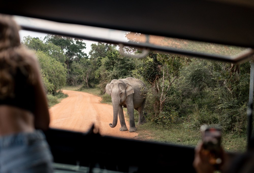 Tag 7: Yala Nationalpark