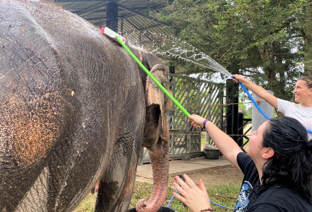 Woche 1/folgend - Dein Projekt