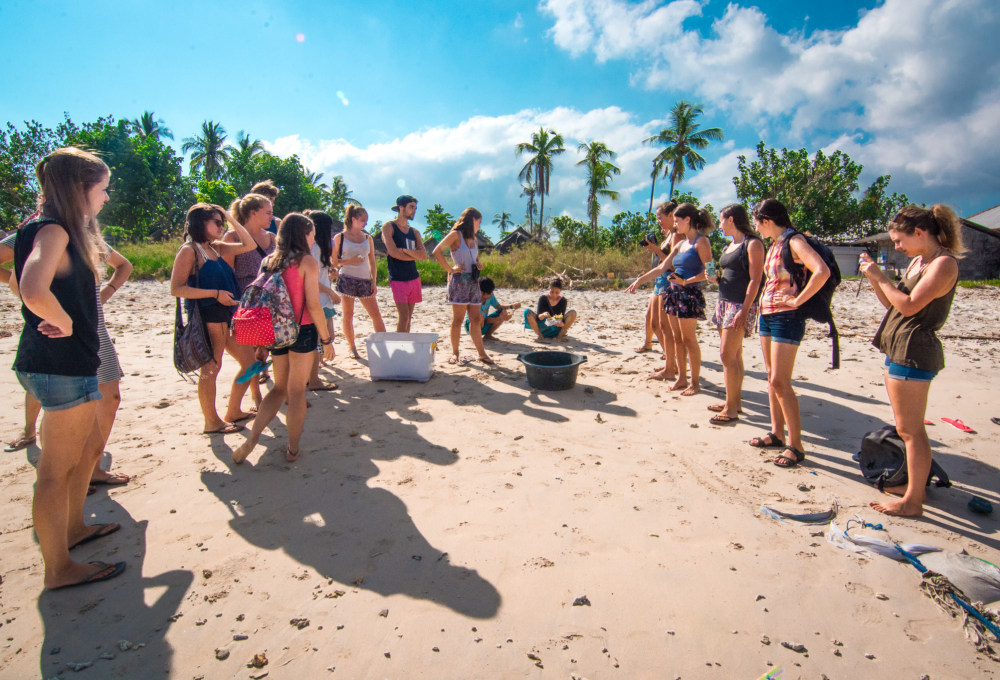 Meeresschildkröten-Projekt auf Bali