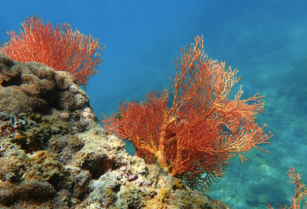 Tag 13: Wracktauchen & heiße Quellen