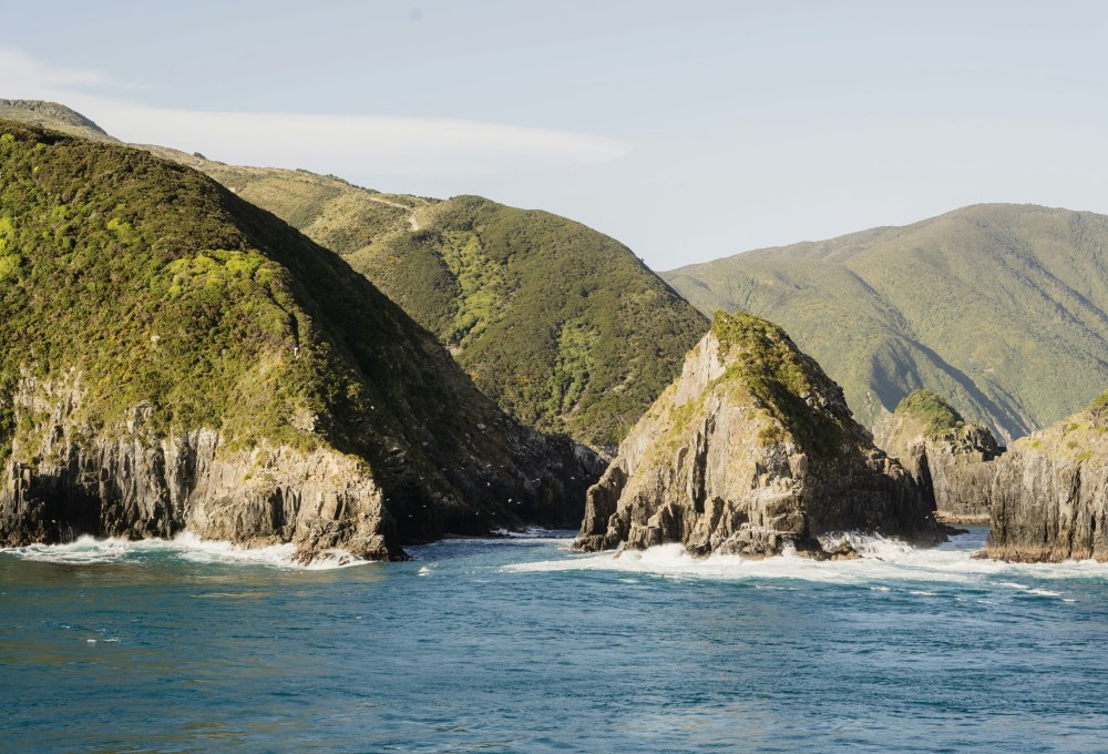 Tag 10: Marlborough Sounds & Marahau