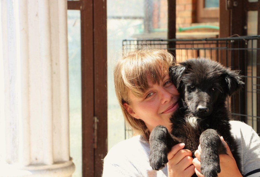 Woche 1/folgend: Dein Straßenhund-Projekt