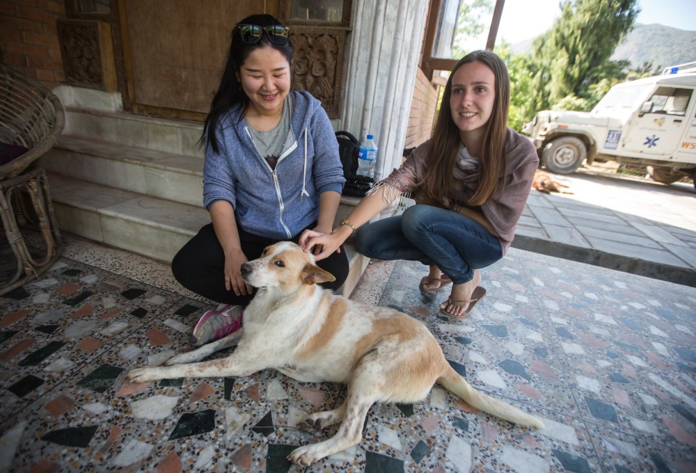 Woche 1/folgend: Dein Straßenhund-Projekt
