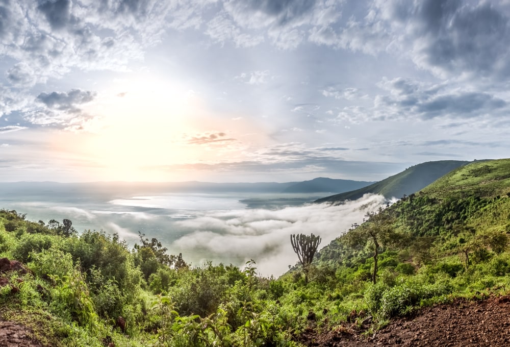 Tag 5: Ngorongoro-Krater 