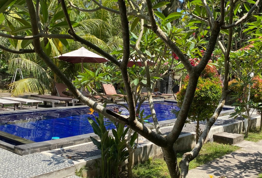 Unsere Freiwilligenhäuser auf Nusa Penida