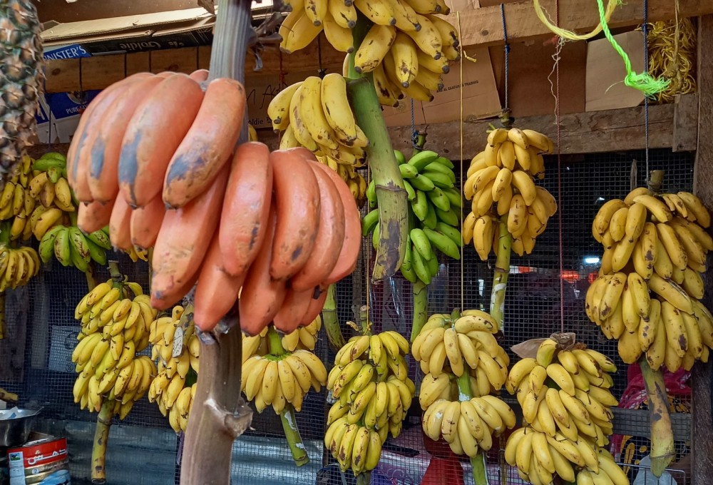 Tag 1 - Deine Ankunft am Freitag & Einführungsveranstaltung