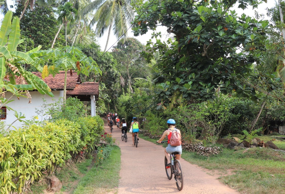 Tag 2 - Ayubowan, deine Einführungsveranstaltung am Samstag & Sonntag