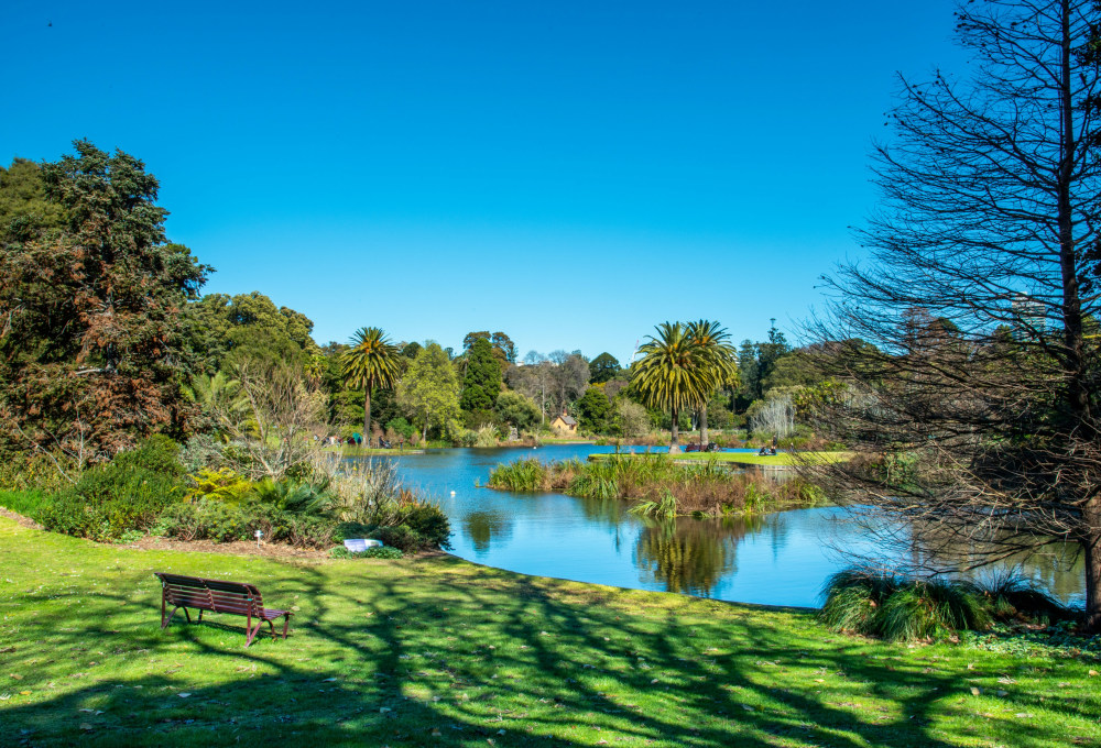 Tag 5: Picnic im Botanischen Garten