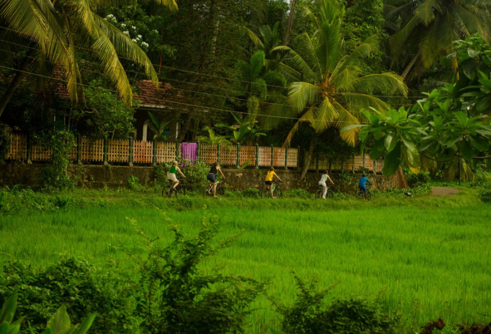 Tag 2 - Ayubowan, deine Einführungsveranstaltung am Samstag & Sonntag