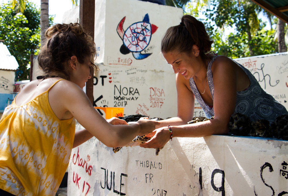 Ab Woche 2 - Dein Projekt