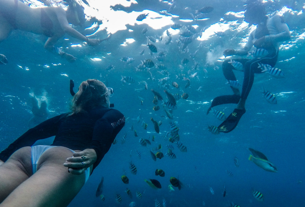 Meeresschildkröten-Projekt auf Bali