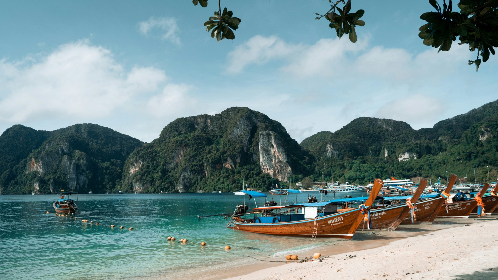 Elephant Island Experience Thailand