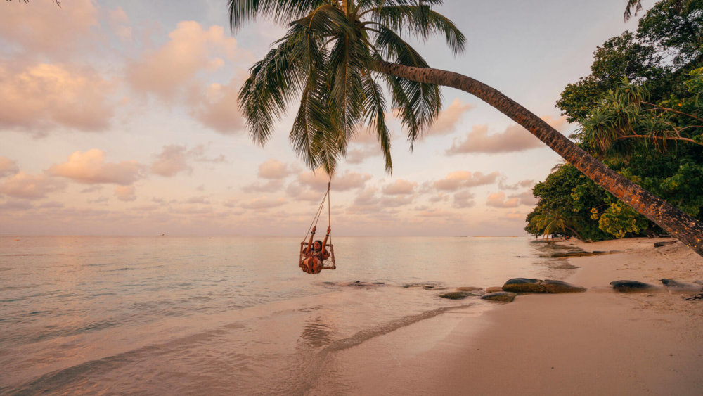 Schaukel, Strand, Meer, Palme