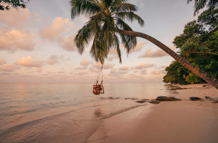 Schaukel, Strand, Meer, Palme