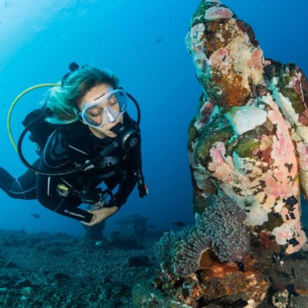 Tauchen, Meeresschutz, Naturschutz, Klimaschutz, Freiwilligenarbeit